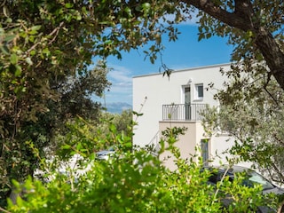 Ein schöner Blick auf den Weinberg erstreckt sich.