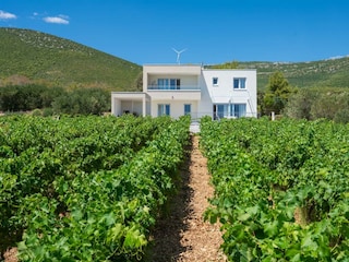Ein schöner Blick auf den Weinberg erstreckt sich.