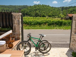 Villa Grubine Registrazione all'aperto 12