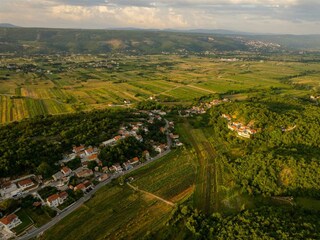 Natural surroundings with many vineyards.