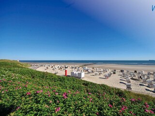 Apartamento de vacaciones Wangerooge Grabación al aire libre 10