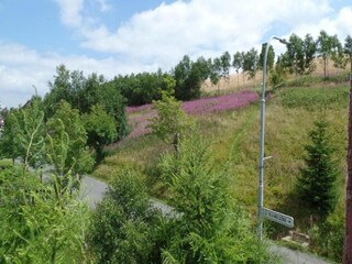 Chalet Oberwiesenthal Entorno 24