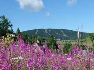 Chalet Oberwiesenthal Environnement 19