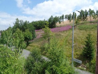 Chalet Oberwiesenthal Environnement 31