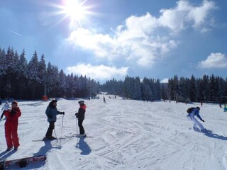 Chalet Oberwiesenthal Environnement 16