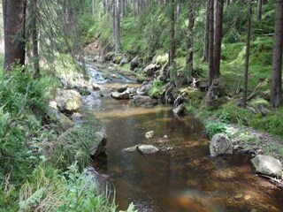 Chalet Oberwiesenthal Entorno 30