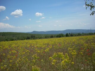 Appartement Montbrun-les-Bains Omgeving 30