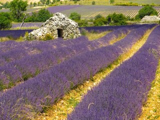 Apartment Montbrun-les-Bains Umgebung 22