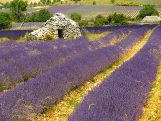 Apartment Montbrun-les-Bains Umgebung 26