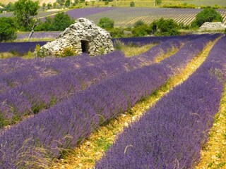 Appartement Montbrun-les-Bains Environnement 30