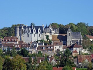 Vakantiehuis Saint-Michel-en-Brenne Omgeving 16