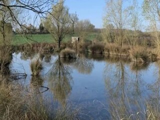 Casa per le vacanze Saint-Michel-en-Brenne Ambiente 17