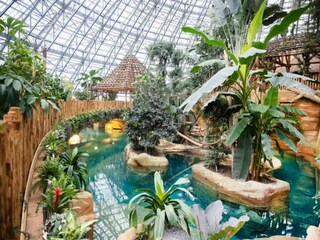 Casa per le vacanze Saint-Michel-en-Brenne Ambiente 18