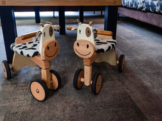 Vakantiehuis Winssen  33