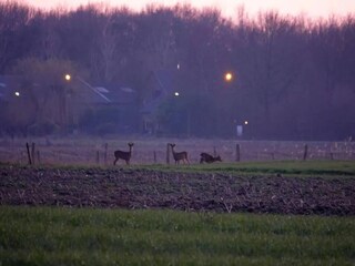 Casa de vacaciones Winssen Entorno 21