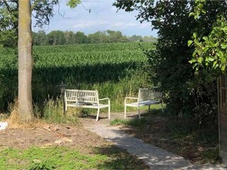 Vakantiehuis Winssen Omgeving 22