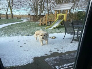 Holiday house Winssen Environment 23