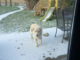 Holiday house Winssen Environment 25