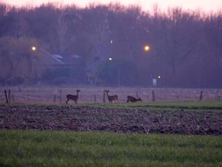 Maison de vacances Winssen Environnement 27