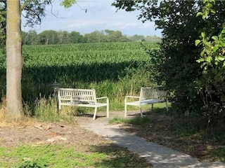 Holiday house Winssen Environment 28