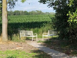 Vakantiehuis Winssen Omgeving 28