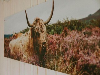 Parco vacanze Nieuwleusen  38