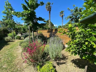 Ferienhaus Sainte-Marie Außenaufnahme 10