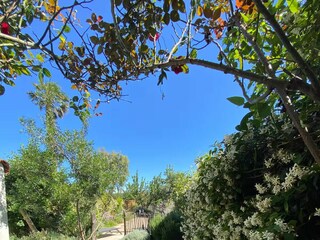 Ferienhaus Sainte-Marie Außenaufnahme 9