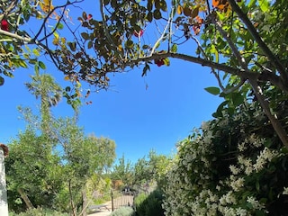 Ferienhaus Sainte-Marie Außenaufnahme 8