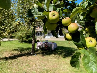 Ferienhaus Angiens Umgebung 30