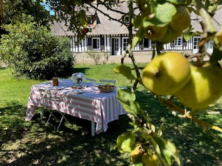 Ferienhaus Angiens Umgebung 31