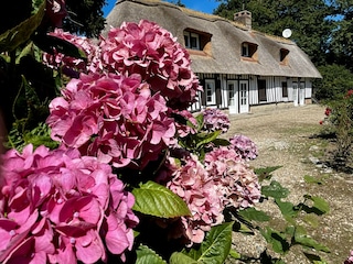 Ferienhaus Angiens Umgebung 32