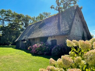 Ferienhaus Angiens Umgebung 33