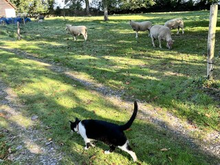 Apartment Brachy Umgebung 19