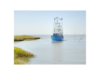 Holiday apartment Duhnen Outdoor Recording 22