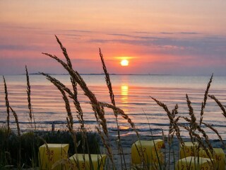 Holiday apartment Duhnen Outdoor Recording 8