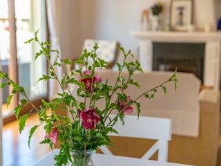 Villa Colonia de Sant Pere Enregistrement extérieur 10