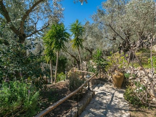 Ferienhaus Fornalutx Außenaufnahme 6