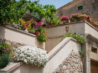Villa Fornalutx  38