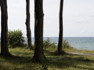 Blick aufs Meer aus dem Wald
