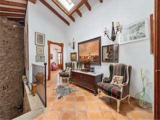 Villa Sa Pobla Features 33