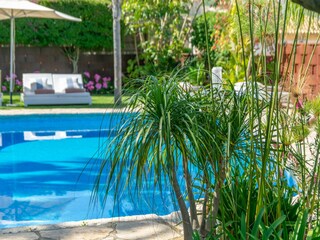 Villa Mancor de la Vall  46