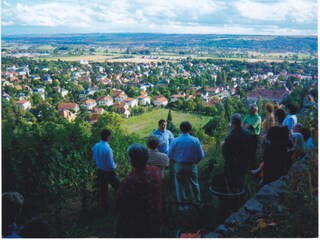 Blick vom Weinberg über Radebeul