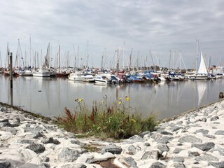 Hafen