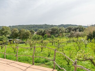 Villa Arenal d'en Castell  32
