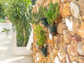 Villa Arenal d'en Castell  45