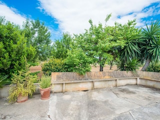 Villa Moscari Outdoor Recording 17