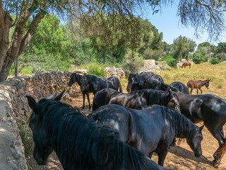 Villa Cala Blanca Buitenaudio-opname 25