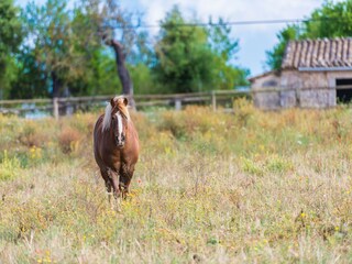 Villa Llubi Grabación al aire libre 15