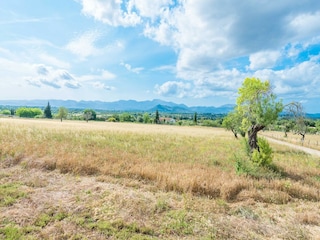 Villa Llubi Entorno 33